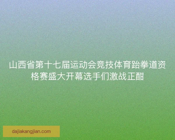 山西省第十七届运动会竞技体育跆拳道资格赛盛大开幕选手们激战正酣